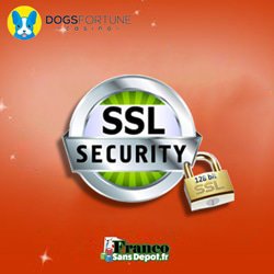 licence-securite-equite