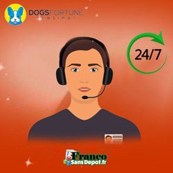 service-client-bancaire-casino-dogs-fortune